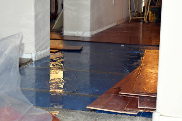 Professional Burst Pipe Cleanup technician working in Raymond, IL