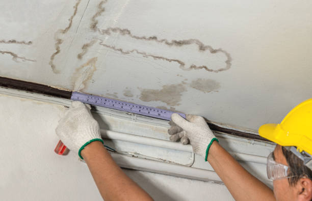 Reliable Burst Pipe Cleanup contractor in Raymond, IL by Water Damage Irwin